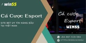 Trang cá cươc esport uy tín là mối quan tâm của người chơi khi muốn tìm nhà cái tin tưởng để an tâm tận hưởng đam mê cá cược thể thao điện tử. Đến với Win55, người chơi sẽ vô cùng hài lòng.