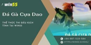 đá gà cựa dao - hình thức thi đấu mang lại phấn khích cao cho người theo dõi