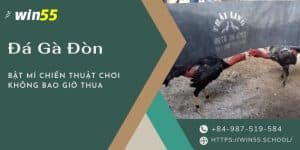 đá gà đòn là hình thức chọi của giống gà nòi có đặc tính hung hăng và vô cùng hiếu chiến.