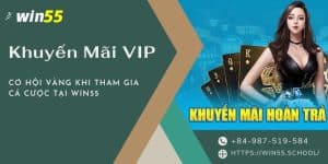 Ảnh đại diện khuyến mãi Vip