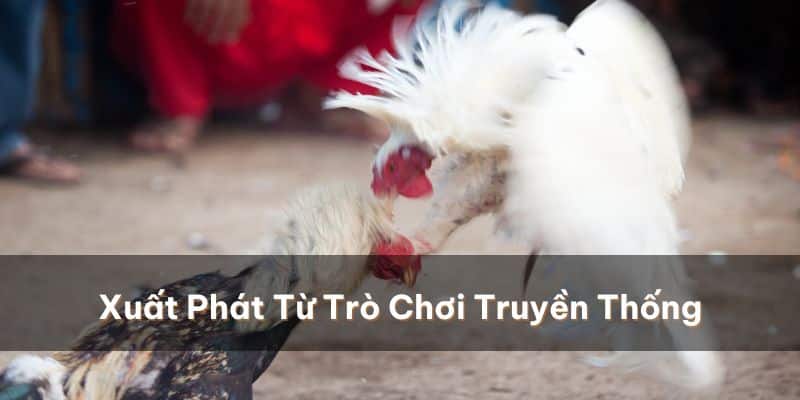 Cá cược đá gà trực tuyến có xuất phát điểm từ trò chơi truyền thống